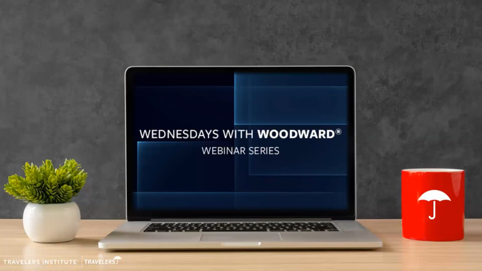 Webinar screenshot